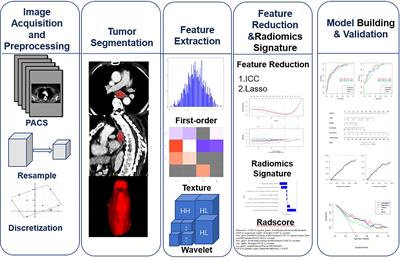 Frontiers A Radiomics Nomogram Based On Contrast Enhanced CT For